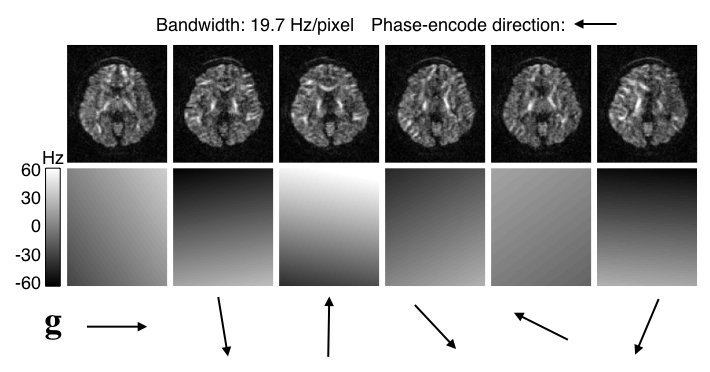 Examples of EC-induced field and distorted images.