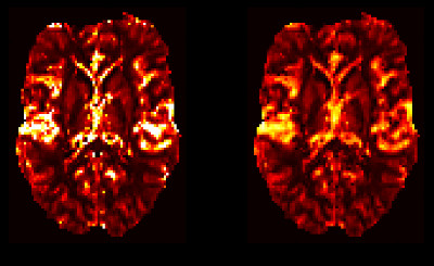 VERBENA example image