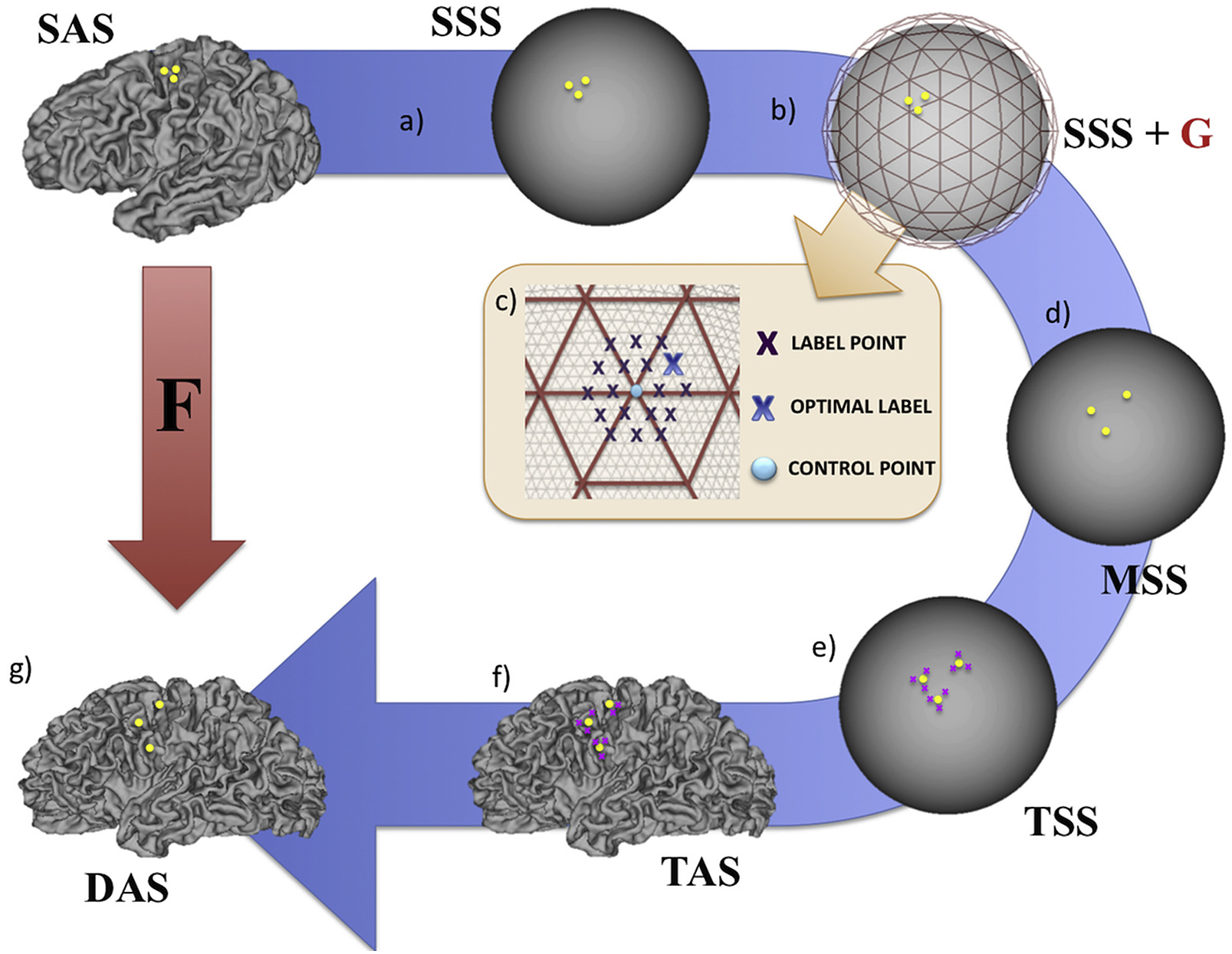 Projecting anatomical landmarks on to a sphere