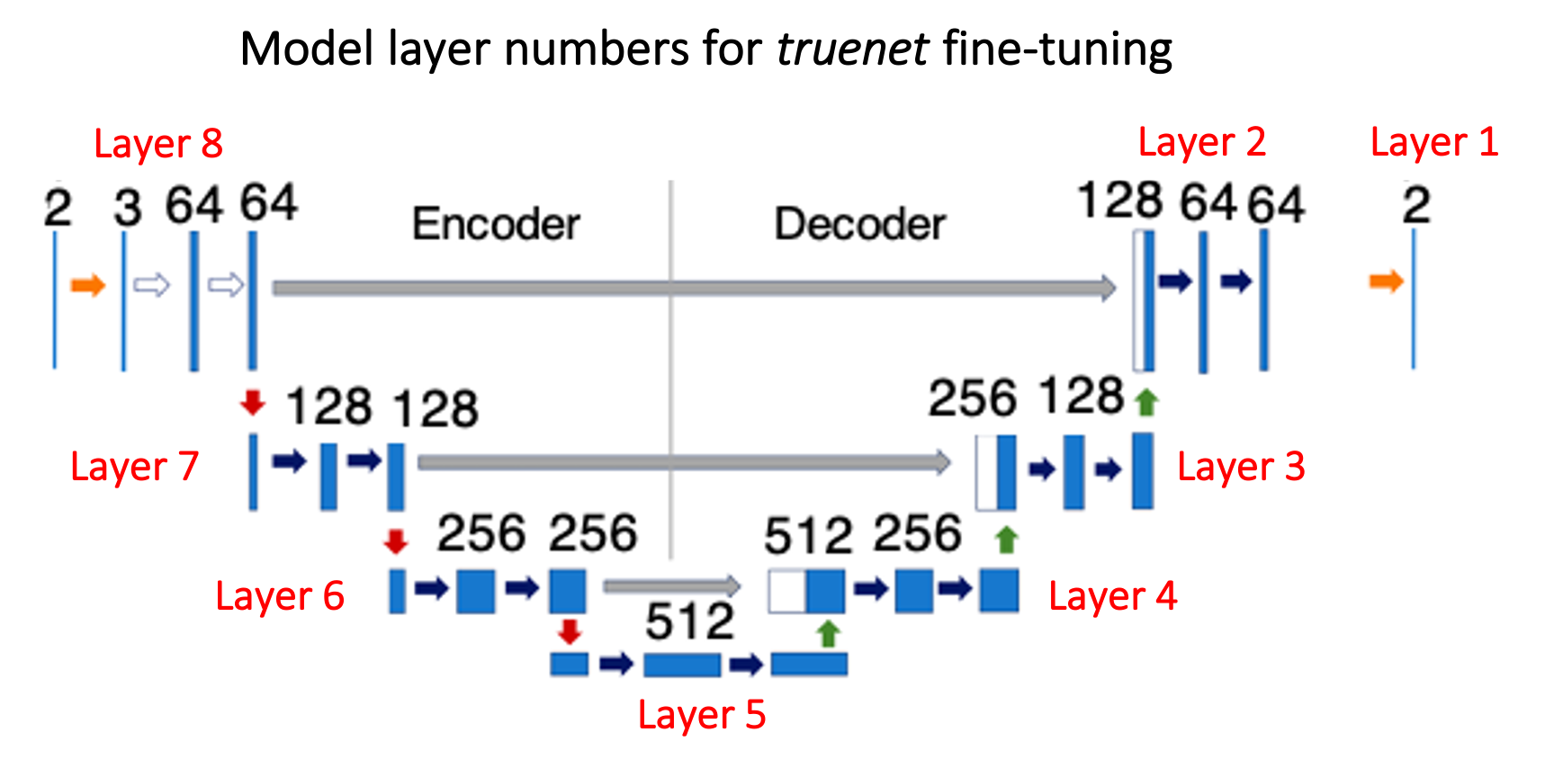 Layers for fine-tuning