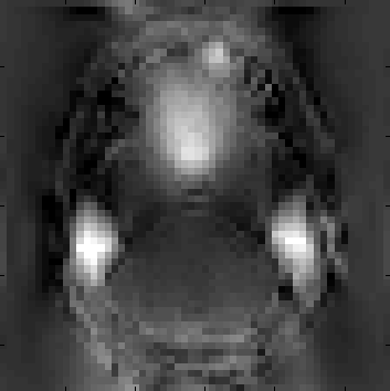 Field coefficients output