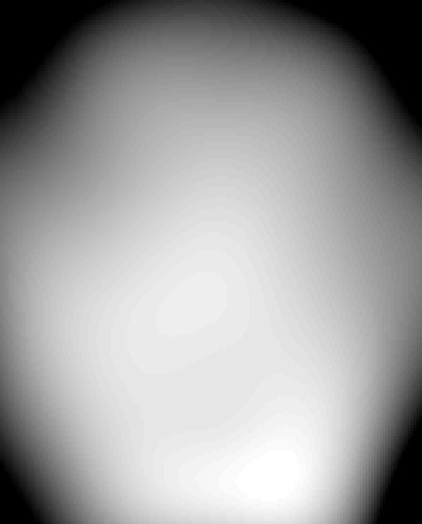 bias field