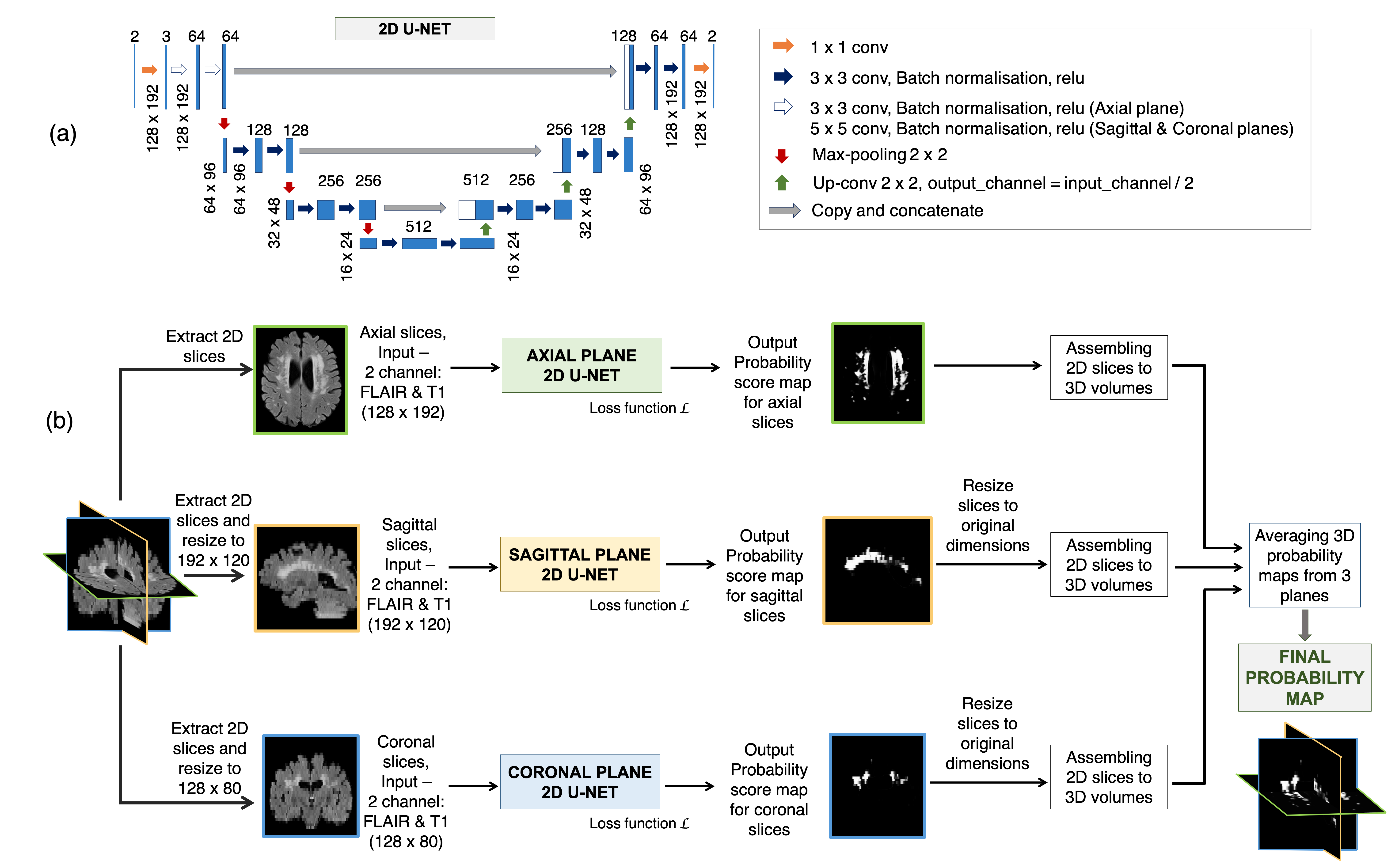 Triplanar U-Net ensemble network (TrUE-Net). (a) U-Net model used in individual planes, (b) Overall TrUE-Net architecture.