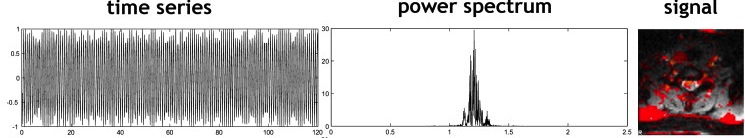 pnm figure