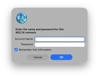 Login window